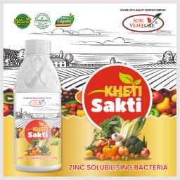 AgriVenture KHETI SAKTI ZSB Zinc Solubilizing Bacteria, Bacterial Products, Use for Paddy, Wheat, Pulses, Citrus, Pomegranate, And Ginger 2