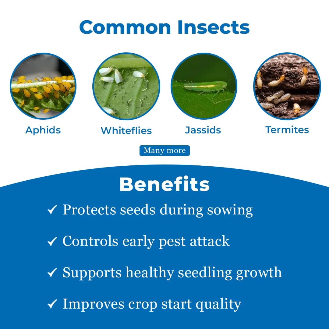 Exylon Thiazol Thiamethoxam 30% FS Insecticide, Efficient Seed Treatment For Early Pest Control - Image 3