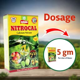 Multiplex Nitrocal Calcium Nitrate Fertilizer, 100% Water Soluble, Better Fruit Quality And Crop Health 4