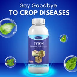 Katyayani Tyson Trichoderma Viride 2.0% A.S. Liquid Bio Fungicide, For Soil Health and Disease Control 2