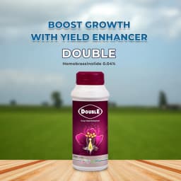 Godrej DOUBLE Homobrassinolide 0.04% Plant Yield Enhancer, Develops Resistance In Plants From Stress Such As Drought, Frost Injury 2