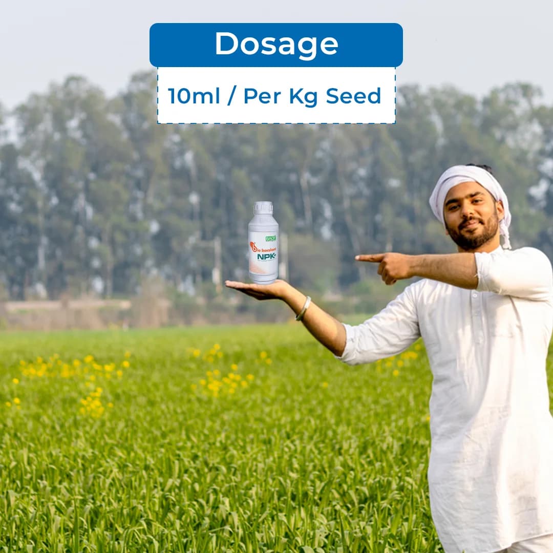 BACF Bio Inoculant NPK+ with NPK Bacteria, PGPR, Sea weed, Humic, Fermentation media with Contact and systemic action - Image 5