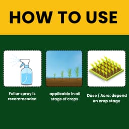 Premium Seaweed Extract Liquid for Plants Vegetables Flowers Fruits Promotes Plant Growth, Flowering, Fruiting - Keeps Plant Healthy and Greenish 9