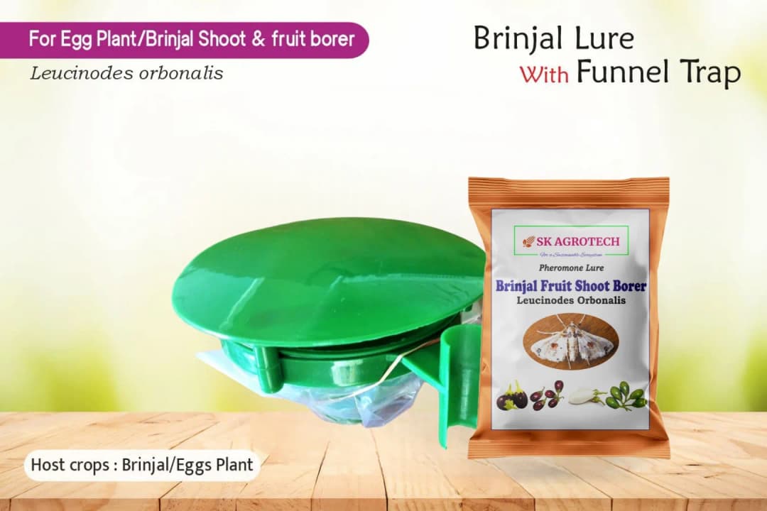 SK Agrotech Leucinodes Orbonalis (Brinjal Fruit and Shoot Borer) Pheromone Trap With Lure - Effective Pest Management Solution - Image 4