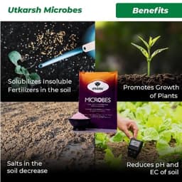 Utkarsh Microbes Carrier Based Consortia Bio Fertilizer, For Nitrogen Fixing, Phosphorus & Potassium Mobilization 3