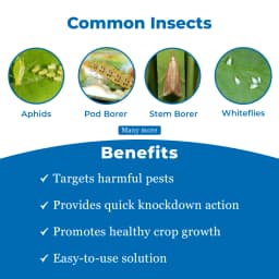 IIL Lethal 20% EC - Chlorpyriphos 20% EC Insecticide, Sucking and Soil Pests Controller, Control Over All Over Sucking, Biting 3