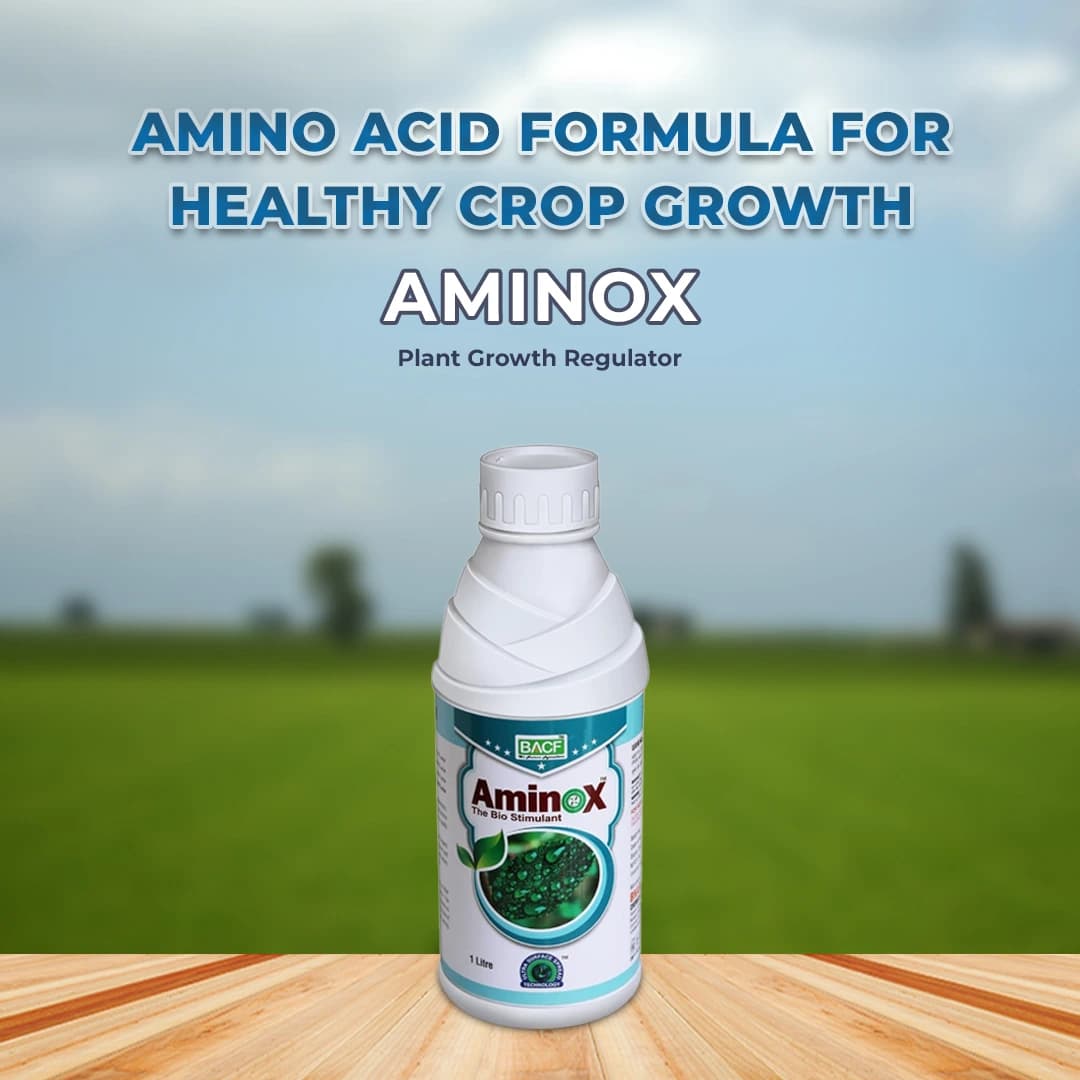 BACF Aminox , Amino acids , Plant cuticle waxes, and honey waxes, For All Type of Horticulture And Field Crops - Image 2