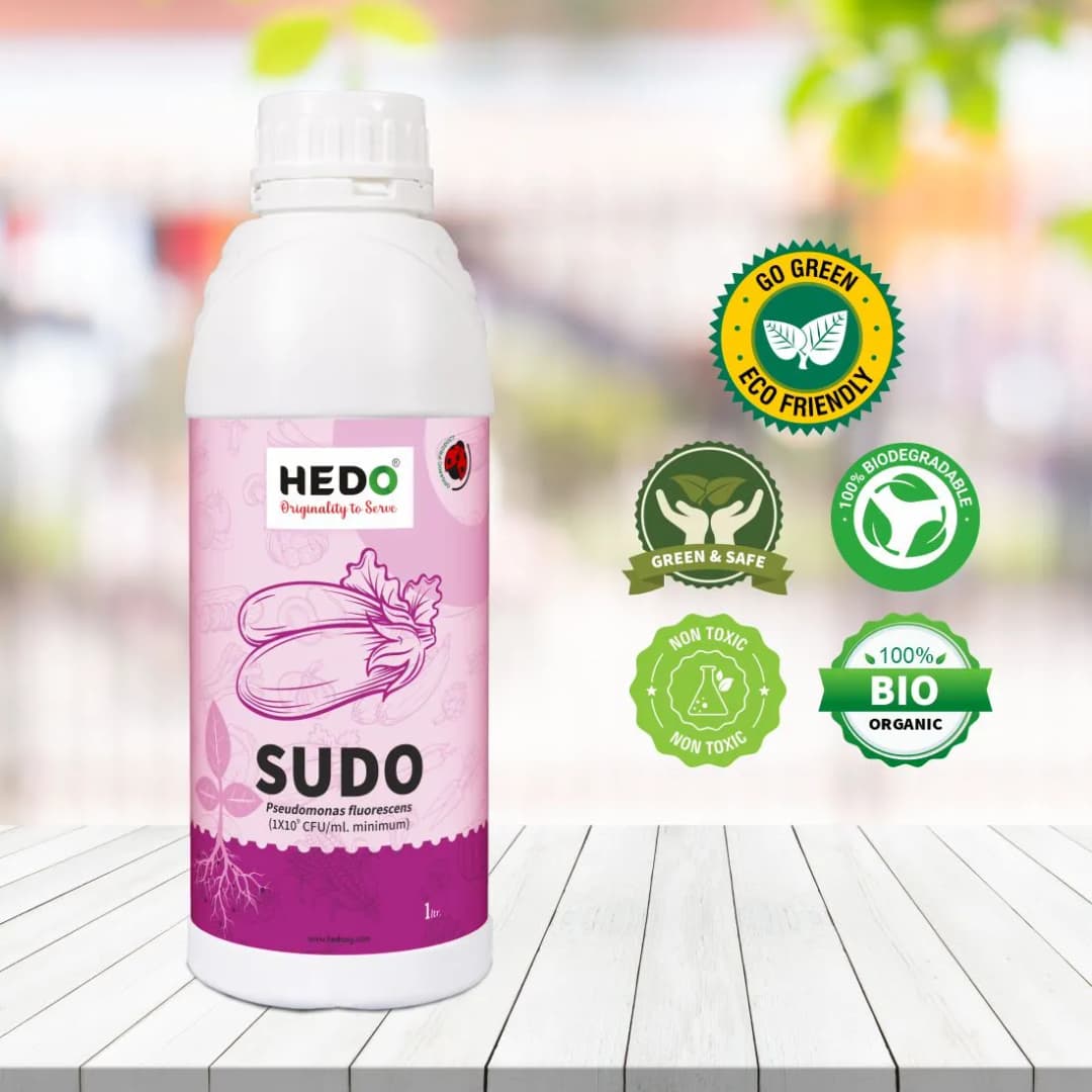 HEDO Sudo (Pseudomonas Fluorescence) Liquid Bio Fungicide, Effective Against A Wide Range Of Soil, Seed, And Air Borne Plant Diseases - Image 5