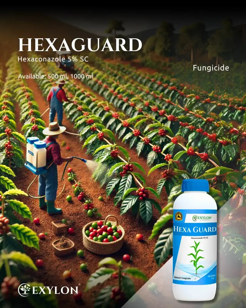 Exylon Hexaguard Hexaconazole 5% SC Fungicide, Effective For Rust And Mildew Control In Crops