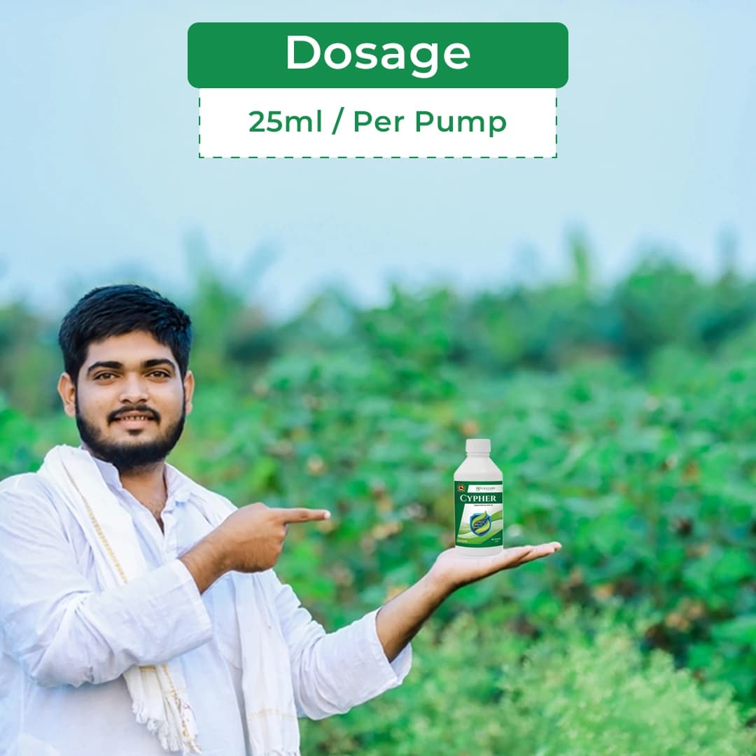 Exylon Cypher Insecticide - Cypermethrin 25% EC - Image 5