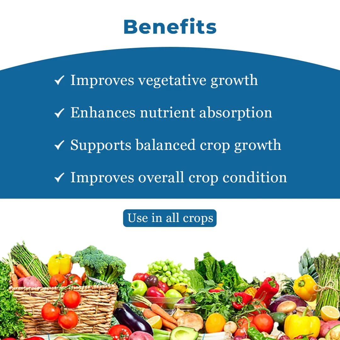 Real Sona (Grapes Special) Improves Length, Bunch Berry, Color & Weight Of Grapes - Image 4