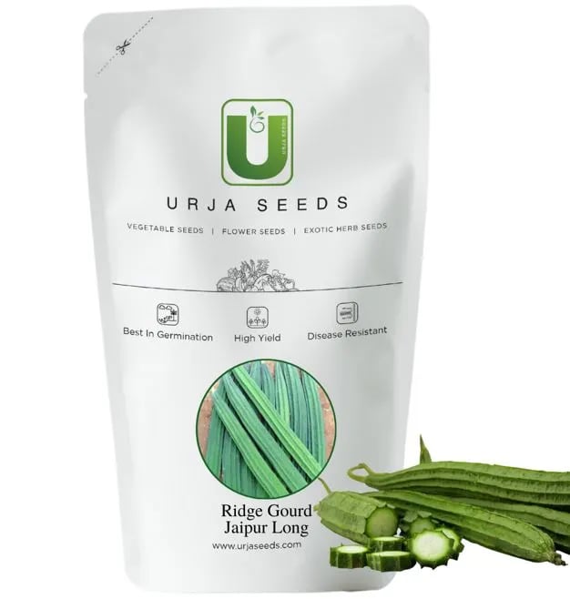 Urja Ridge Gourd Seeds - (Turai Seeds) Jaipur Long, Cucurbits, Dark Green Colored Fruits