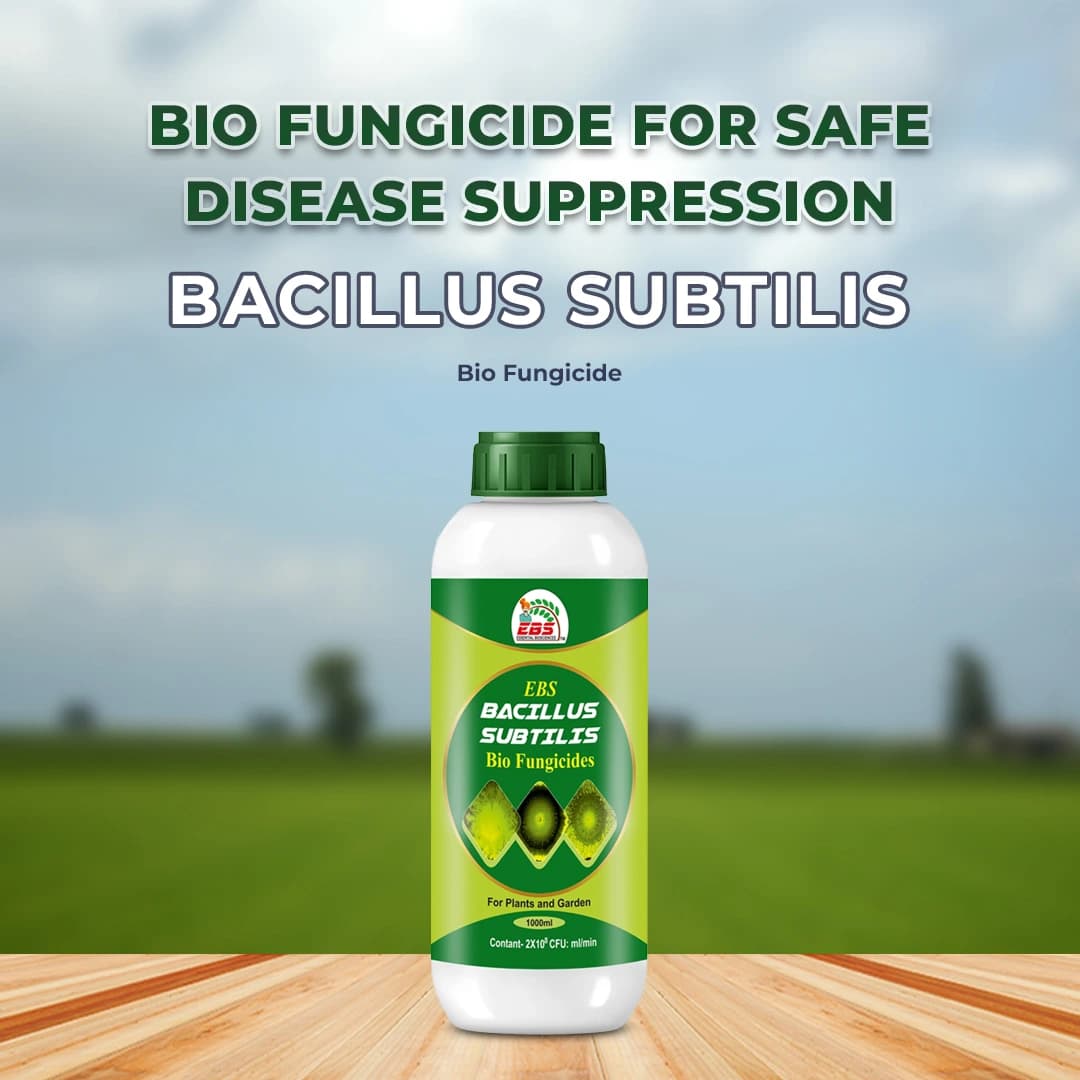 EBS Bacillus Subtilis Bio Fungicide, Control Downy Mildew, Powdery Mildew And Bacterial Diseases For Plants And Home Garden - Image 2