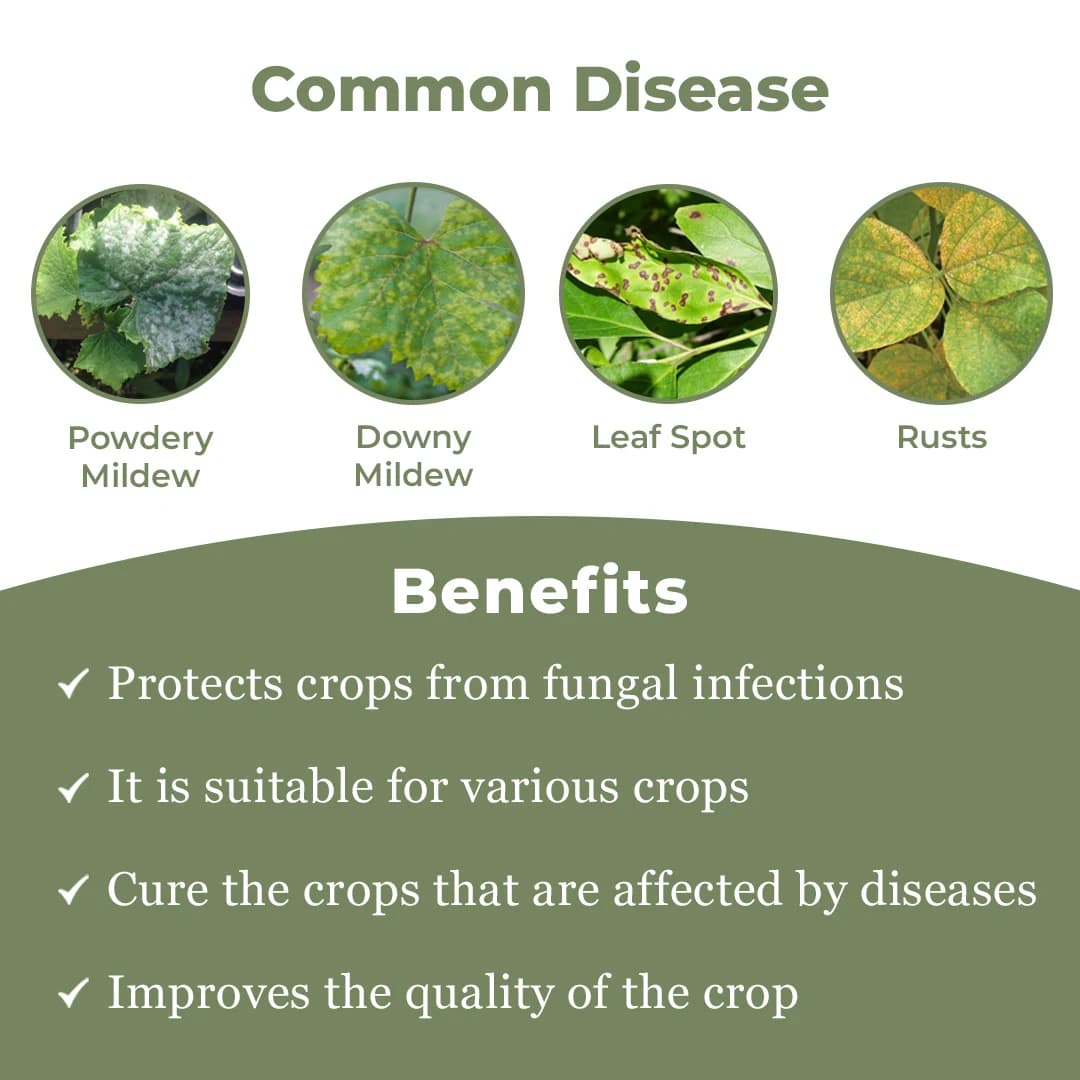 Arostel Fungicide - Azoxystrobin 11% + Tebuconazole 18.3% SC - Image 3