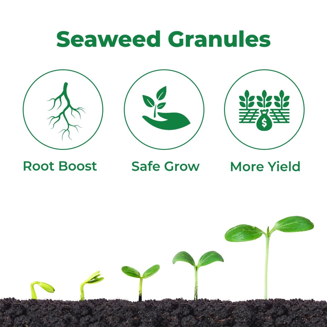 PI Biovita X Granules - Plant Growth Regulator - Image 3