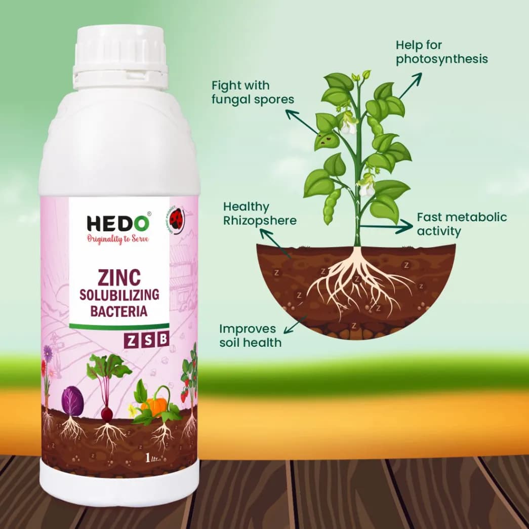 HEDO Zinc Solubilizing Bacteria (ZSB) Liquid Bio Fertilizer, For All Plants, Agricultural & Garden, Helps to Improves Soil Fertility - Image 5