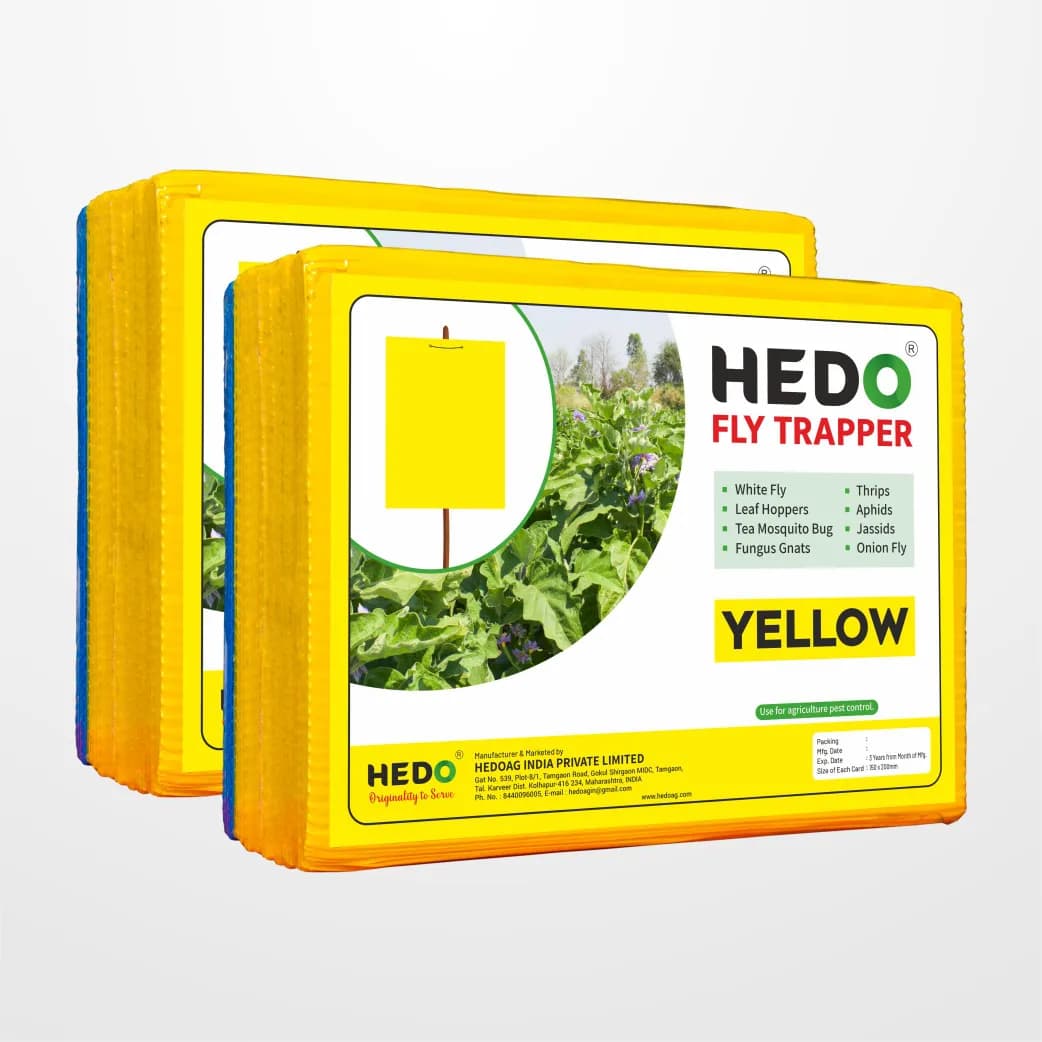 HEDO Eco Sticky Trap A5 Size, 20 Yellow and 5 Blue Mix Sticky Trap For The Insects, Best For Organic Vegetable And Fruits Farming Pest Control - Image 2