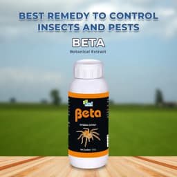 Beta - Bio and Eco-Friendly Remedy for Thrips and Mites, Useful for All Agricultural Crops 2