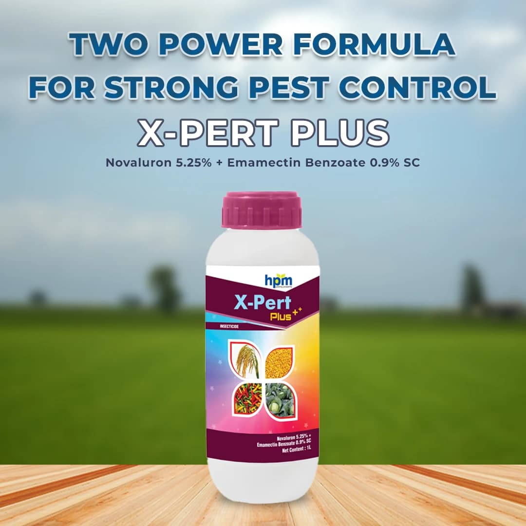 Hpm X-Pert Plus Novaluron 5.25% + Emamectin Benzoate 0.9% SC Insecticide, Effective Pest Control - Image 2