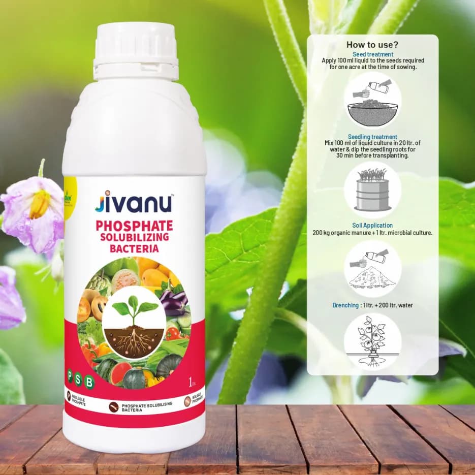 Green Revolution Jivanu PSB Phosphate Solubilizing Bacteria Liquid Bio Fertilizer, Improves Nutrient Uptake - Image 6