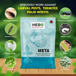 Hedo Meta (Metarhizium Anisopliae) Bio Pesticide, Effective Pest Control Against A Wide Range Of Insects 2