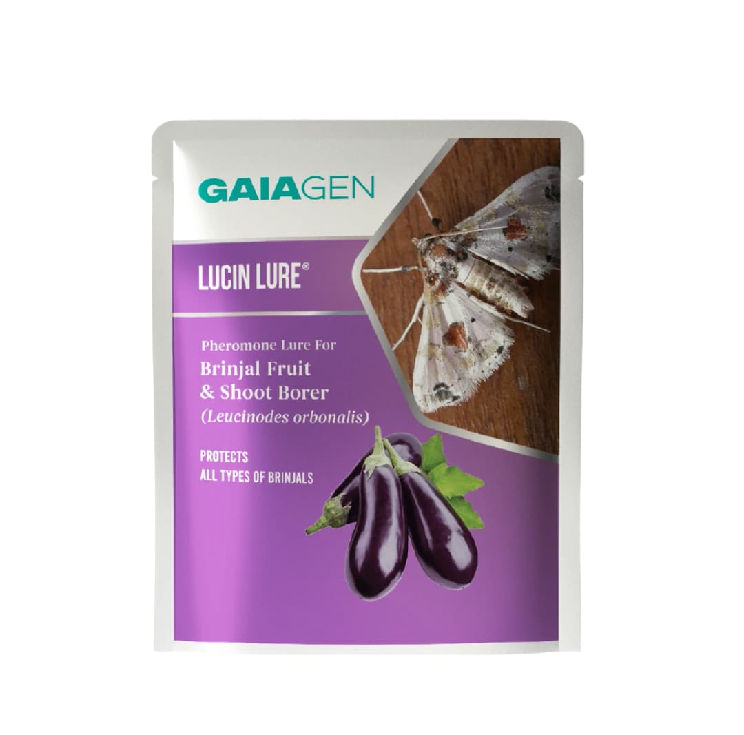 Gaiagen Brinjal Fruit And Shoot Borer Pheromone Lure For Leucinodes Orbonalis, IMO Certified. - Image 2