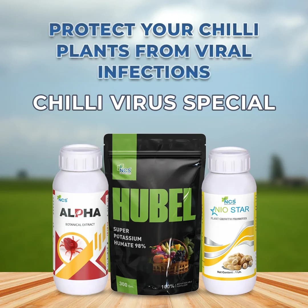 Chilli Virus Special For Pre-Treatment (Set of Alpha 250 ML + Nio Star 100 ML + Hubel 900 GM) Best Effect On Chilli Virus - Image 3