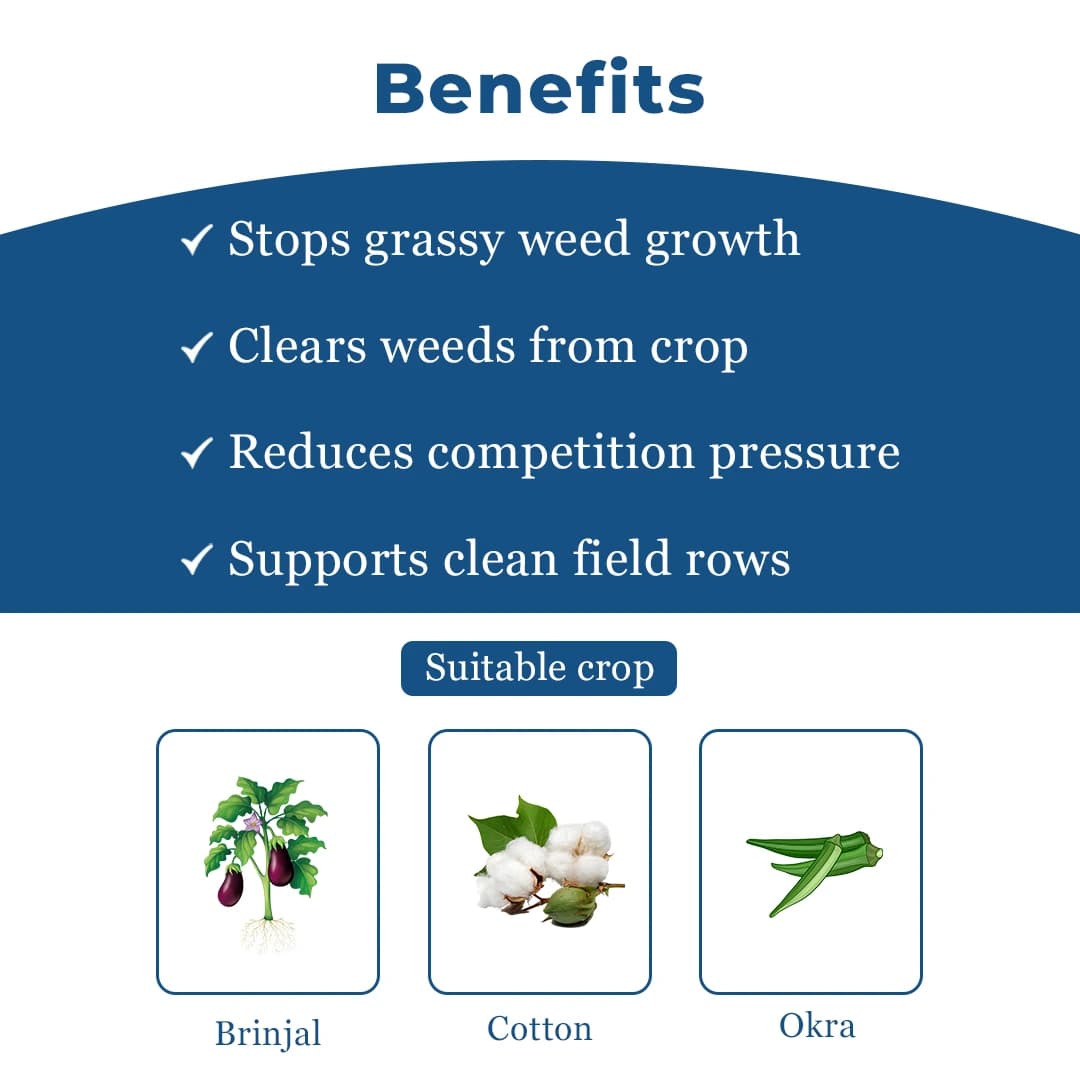 Exylon Qsar Quizalofop-Ethyl 10% EC Herbicide, Controls Grass Weeds In Broadleaf Crops - Image 4