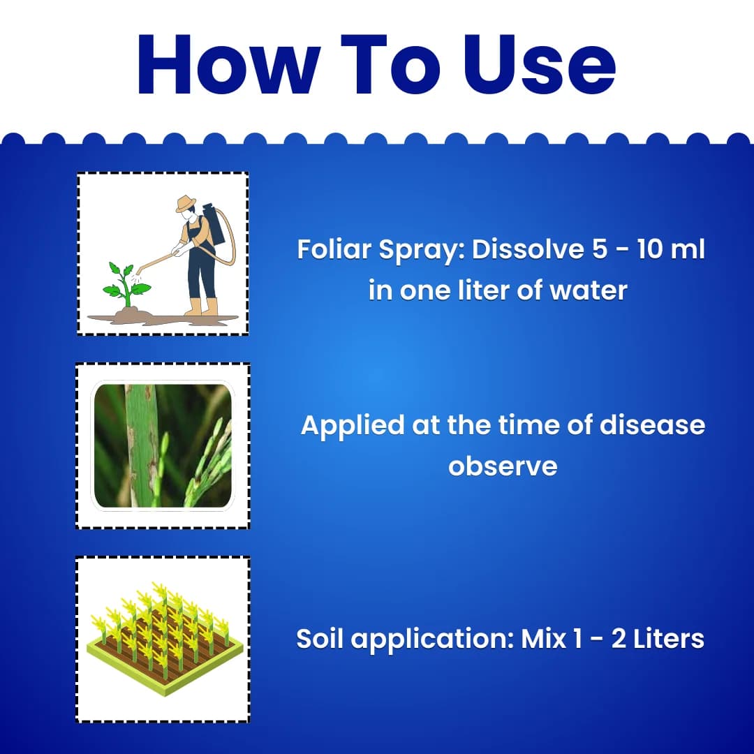 Katyayani Tyson Trichoderma Viride 2.0% A.S. Liquid Bio Fungicide, For Soil Health and Disease Control - Image 5