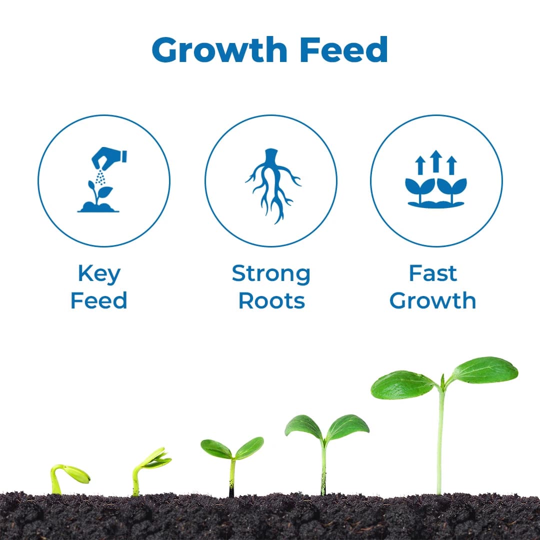 JBPL Zyme Fertilizer Plant Growth Granules For Home Gardening, Fertilizer for Plants and crop. - Image 3