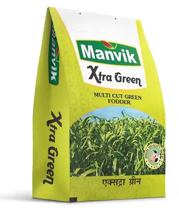 Manvik Xtra Green, Multi Cut Green Fodder, Sorghum Seeds, Multi-Cut High Nutitive Fodder - Image 2