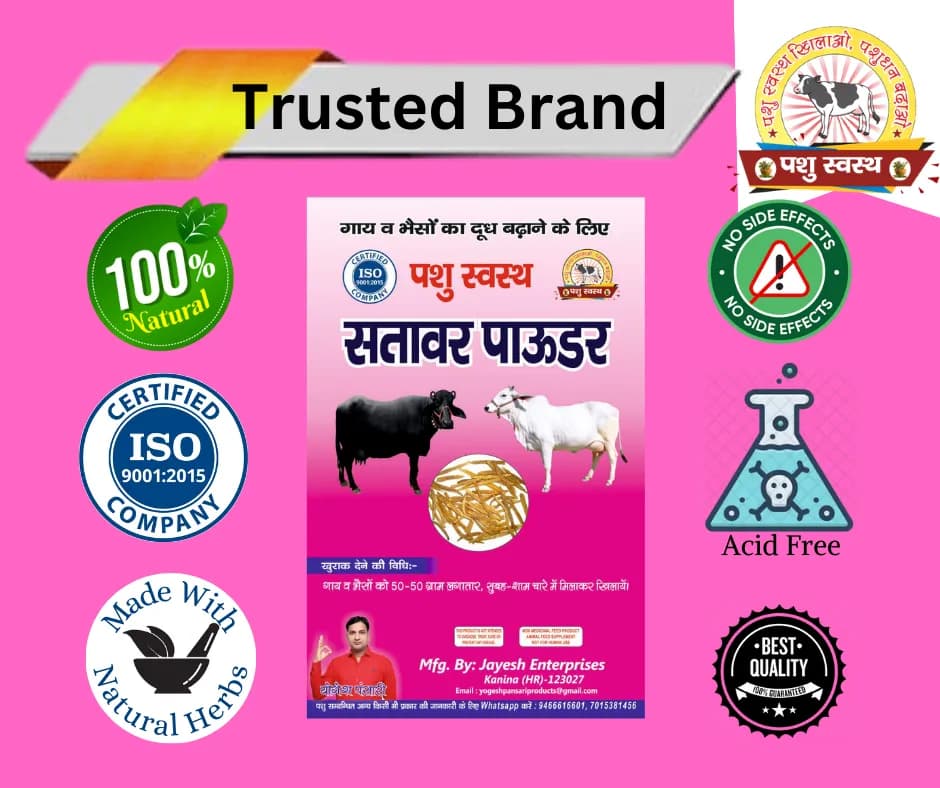 PASHU SVASTH SITAWAR POWDER, Animal Health Suppliments, Pure Herbal Blend For Healthy Milk Yield In Animals - Image 6