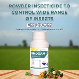 Emoxam - Emamectin Benzoate 3% + Thiamethoxam 12% WG, Powder Insecticide for Plants. 2