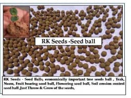 RK Seeds - Seed Balls, Economically Important Tree Seeds Ball, Teak, Neem, Fruit Bearing Seeds Ball, Flowering Seed, Soil Erosion Control Seed Ball 2