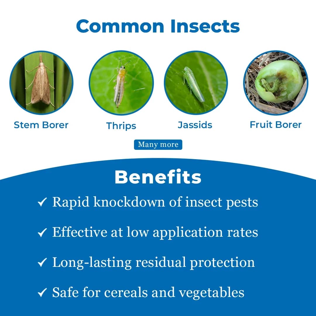 PRAHAR - Lambda Cyhalothrin 5% EC For Controls Sucking and Lepidopteron Pests in Various Crops. - Image 3