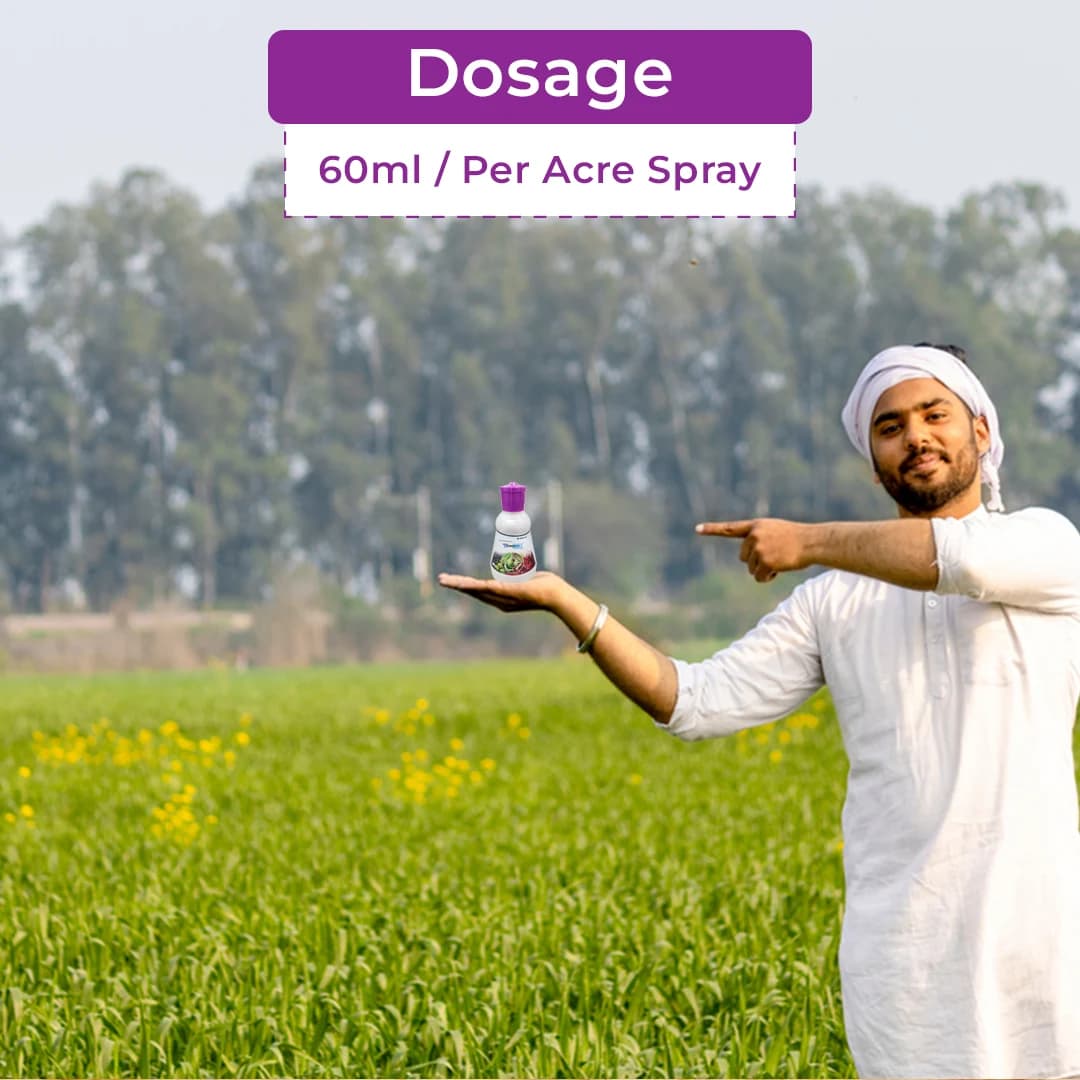 Berrysun Power Control Insecticide - Image 5