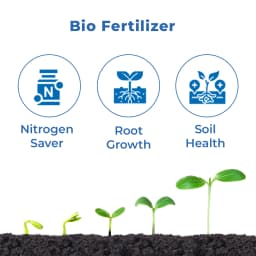 Dr. Bacto\'s Combo, NPK Microbial Liquid Consortia, Liquid Bio Fertilizer, Water Soluble, Increases Yield And Quality Of The Produce 3