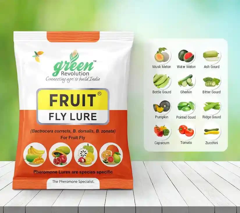 Maxplus Trap with Fruit Fly Lure (Bactrocera Correcta, Zonata, Dorsalisa Pheromone Lure) For Mango, Guava, Sapota, Citrus, Banana, and Papaya - Image 7