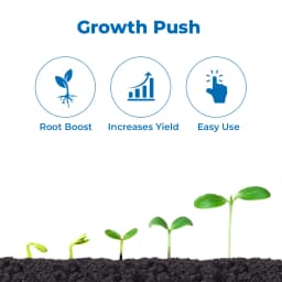 Ju Vita Gold Potassium Humate (68%) and Potassium Oxide (10%), Plant Growth Regulator, Enriched Organic Bio Enhancer 3