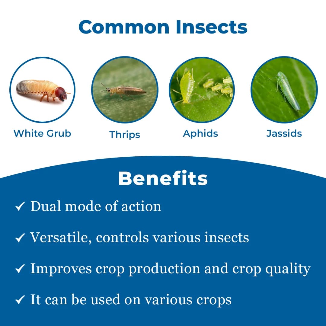 Finopride Insecticide - Fipronil 40% + Imidacloprid 40% WG - Image 3