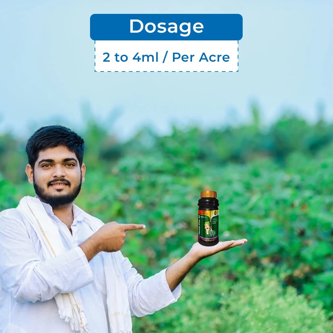 Humi Pro 12 (Humic Acid + Fulvic Acid) Flowering, Fruiting, Root Growth, Suitable for Drip, Foliar Spray and Drenching - Image 5