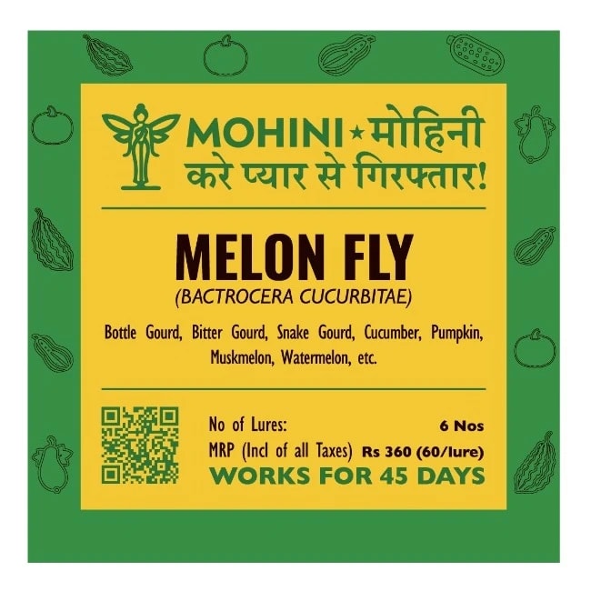 Biowall Mohini Melon Fly Bactrocera Cucurbitae, Pheromone Lure For Effective Pest Control