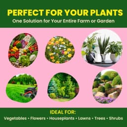 Utkarsh Calcium Nitrate Ca(NO3)2 (100% Water Soluble Fertilizer) For Foliar Spray and Irrigation 3