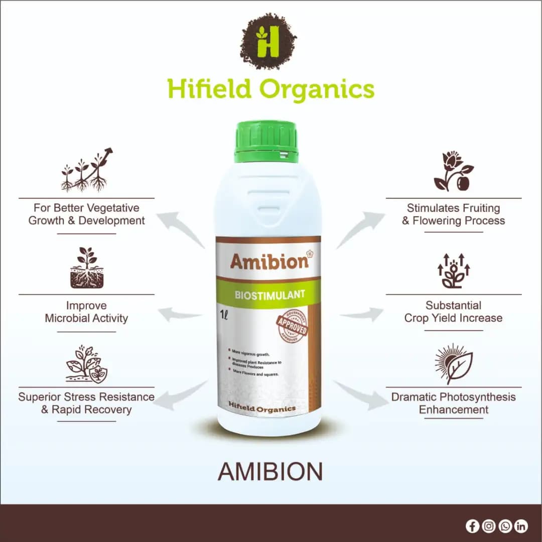 Hifield Amibion Protein Supplement, Derived From Pepticide and Amino Acids 65-68% , Flower Booster, Boosts Immunity, Vigor, and Plant Growth - Image 3
