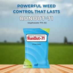 GSP RunOut-71 Ammonium Salt Of Glyphosate 71% SG Herbicide, Non-Selective, Effective Control Weed In Crops 2