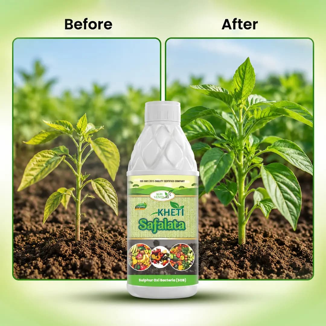 Agriventure Kheti Safalata Bio Fertilizer - Improves Soil Fertility & Supports Soil Health - Image 5