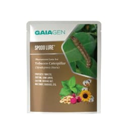 Gaiagen Tobacco Caterpillar (Spodoptera Litura) Pheromone Lure And Insect Funnel Traps, IMO Certified. 2