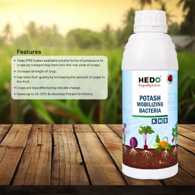 HEDO Potassium Mobilizing Bacteria (KMB) Liquid Bio Fertilizer, To Increase The Fruit Quality & Growth Of The Crops - Image 3