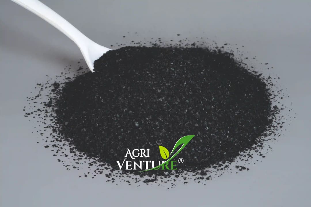 Imported Super Potassium Humate 98% Flakes, Humic Acid 70%, Fulvic 6%, PGR - Plant Growth Promoter (25 Kg Loose Bag) - Image 6