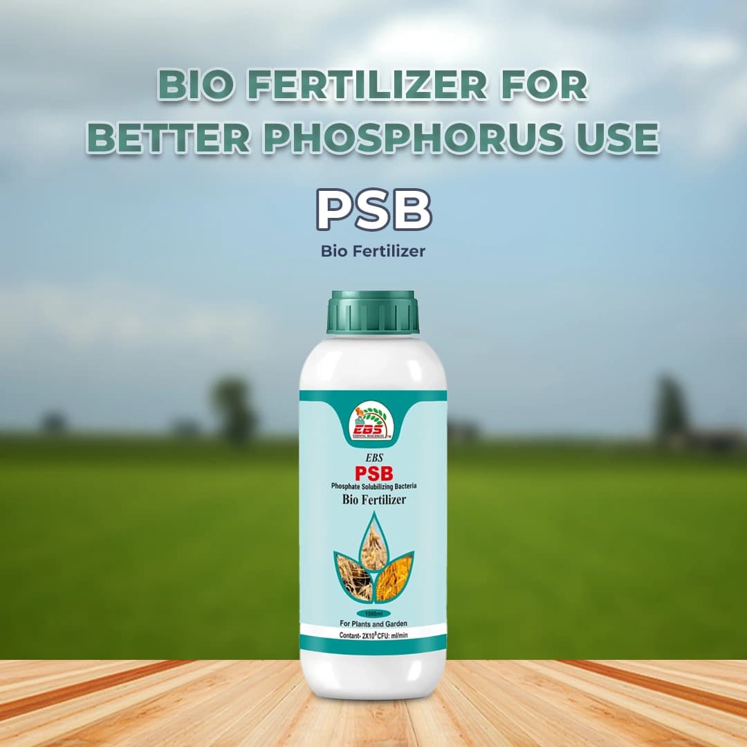 EBS PSB Phosphate Solubilising Bacteria Bio Fertilizer beneficial to pulses and useful in all crops and under all climates - Image 2